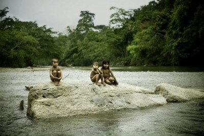 Andrea Lamount - Resistence On Jiguamiandó River Andrea Lamount - Resistence On Jiguamiandó River
